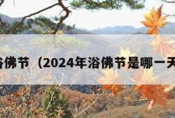 浴佛节（2024年浴佛节是哪一天）