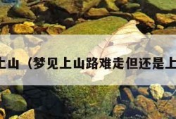 梦见上山（梦见上山路难走但还是上去了）