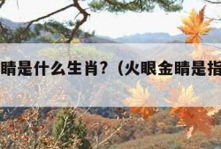 火眼金睛是什么生肖?（火眼金睛是指什么生肖?）