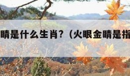 火眼金睛是什么生肖?（火眼金睛是指什么生肖?）