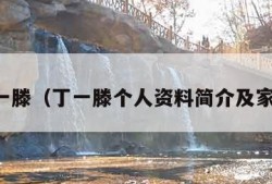 丁一滕（丁一滕个人资料简介及家世）