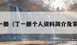 丁一滕（丁一滕个人资料简介及家世）