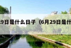 6月29日是什么日子（6月29日是什么节日?）