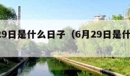 6月29日是什么日子（6月29日是什么节日?）