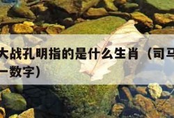 司马懿大战孔明指的是什么生肖（司马懿大战孔明打一数字）