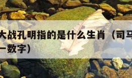 司马懿大战孔明指的是什么生肖（司马懿大战孔明打一数字）