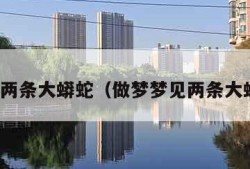 梦见两条大蟒蛇（做梦梦见两条大蟒蛇）