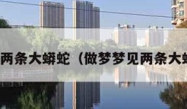 梦见两条大蟒蛇（做梦梦见两条大蟒蛇）