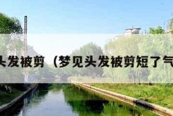 梦见头发被剪（梦见头发被剪短了气哭了）