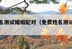 免费姓名测试婚姻配对（免费姓名测试婚姻配对超准）
