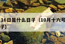 10月16日是什么日子（10月十六号是什么日子）