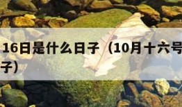 10月16日是什么日子（10月十六号是什么日子）