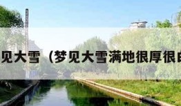 梦见大雪（梦见大雪满地很厚很白）