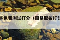 周易名字免费测试打分（周易取名打分测试免费）