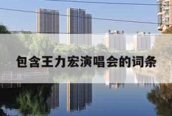 包含王力宏演唱会的词条