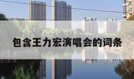 包含王力宏演唱会的词条