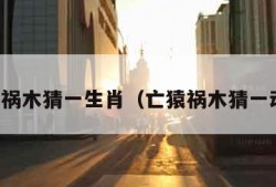 亡猿祸木猜一生肖（亡猿祸木猜一动物）
