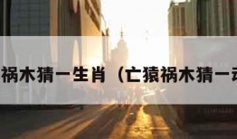 亡猿祸木猜一生肖（亡猿祸木猜一动物）