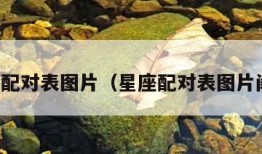 星座配对表图片（星座配对表图片闺蜜）