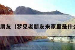 梦见老朋友（梦见老朋友来家里是什么意思）