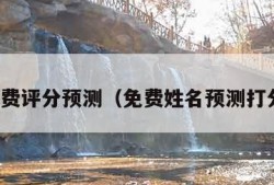 姓名免费评分预测（免费姓名预测打分测试）