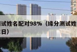 缘分测试姓名配对98%（缘分测试姓名配对打分生日）
