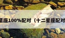 十二星座100%配对（十二星座配对情况）