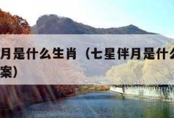 七星伴月是什么生肖（七星伴月是什么生肖?最佳答案）