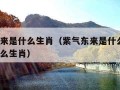 紫气东来是什么生肖（紫气东来是什么生肖?开过什么生肖）
