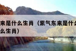 紫气东来是什么生肖（紫气东来是什么生肖?开过什么生肖）