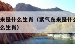 紫气东来是什么生肖（紫气东来是什么生肖?开过什么生肖）