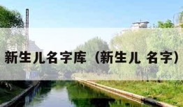 新生儿名字库（新生儿 名字）