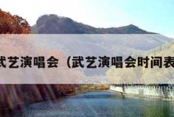 武艺演唱会（武艺演唱会时间表）
