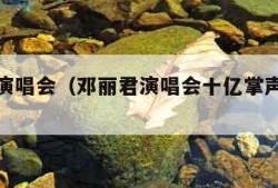 邓丽君演唱会（邓丽君演唱会十亿掌声演唱会）