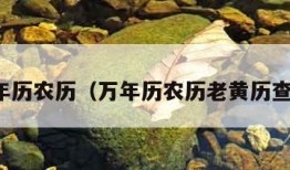 万年历农历（万年历农历老黄历查询）