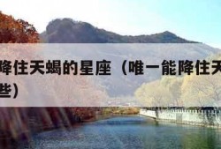唯一能降住天蝎的星座（唯一能降住天蝎的星座有哪些）