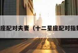 十二星座配对夫妻（十二星座配对指数排名）