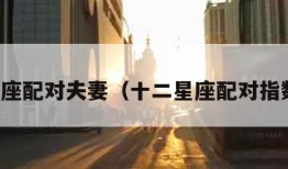 十二星座配对夫妻（十二星座配对指数排名）
