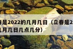 立春是2022的几月几日（立春是2022的几月几日几点几分）