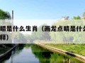 画龙点睛是什么生肖（画龙点睛是什么生肖?准确解释）