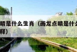 画龙点睛是什么生肖（画龙点睛是什么生肖?准确解释）