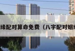 八字姻缘配对算命免费（八字配对姻缘测试）