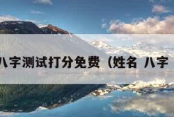 姓名八字测试打分免费（姓名 八字 测试）