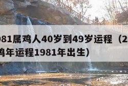 1981属鸡人40岁到49岁运程（2024鸡年运程1981年出生）