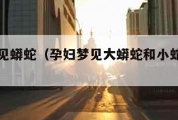 孕妇梦见蟒蛇（孕妇梦见大蟒蛇和小蛇是什么征兆）