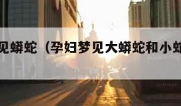 孕妇梦见蟒蛇（孕妇梦见大蟒蛇和小蛇是什么征兆）