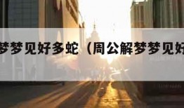 周公解梦梦见好多蛇（周公解梦梦见好多蛇咬我）