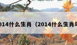 2014什么生肖（2014什么生肖年）