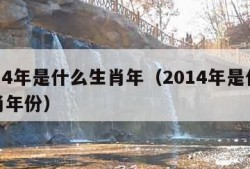 2014年是什么生肖年（2014年是什么生肖年份）