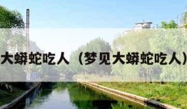 大蟒蛇吃人（梦见大蟒蛇吃人）